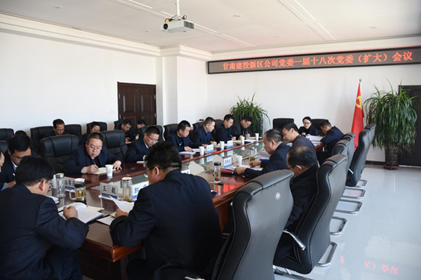 新區(qū)公司黨委召開一屆十八次黨委（擴(kuò)大）會(huì)議安排部署2019年黨建重點(diǎn)工作